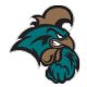 Coastal Carolina Icon