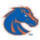 Boise St Icon