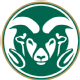 Colorado St Icon